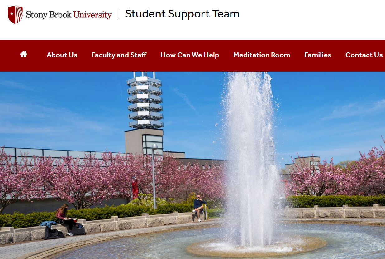 student support team